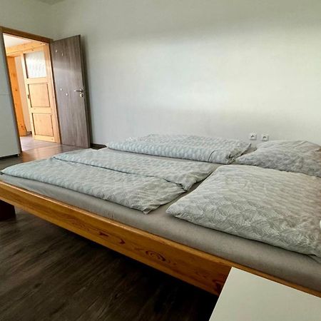 Apartman Lilly Borovany  Eksteriør billede