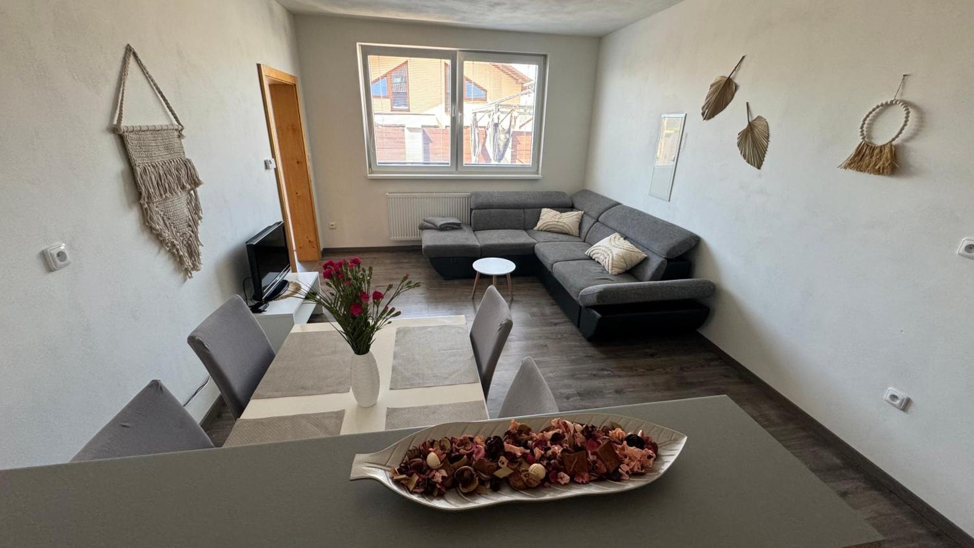 Apartman Lilly Borovany  Eksteriør billede